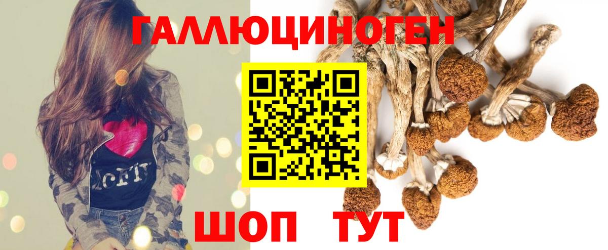 Псилоцибиновые грибы мицелий  Вход с VPN  Сургут  Псилоцибиновые грибы Psilocybine cubensis 