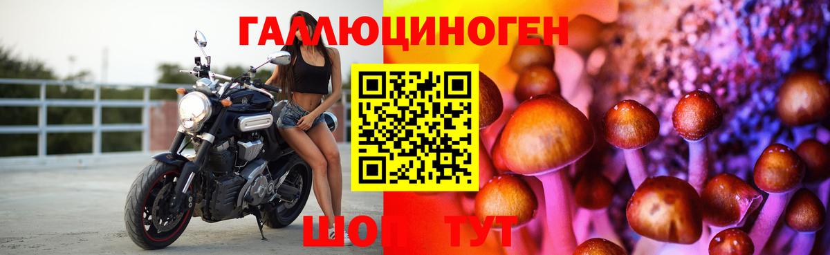 Галлюциногенные грибы Magic Shrooms Сургут